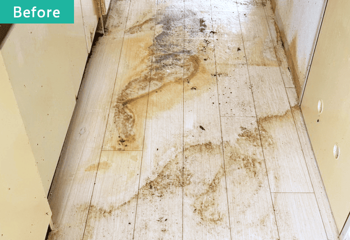 特殊清掃施工前の画像